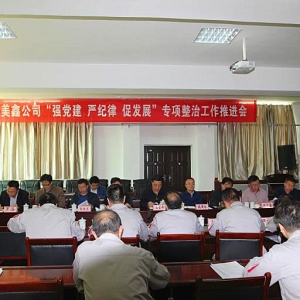 F(tun)_(ki)ι˾(qing)h(yn)o(j)ɡٰl(f)չ(xing)ιM(jn)(hu)