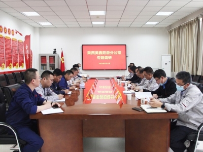 ɫټFhίίT(jng)۵˾{(dio)